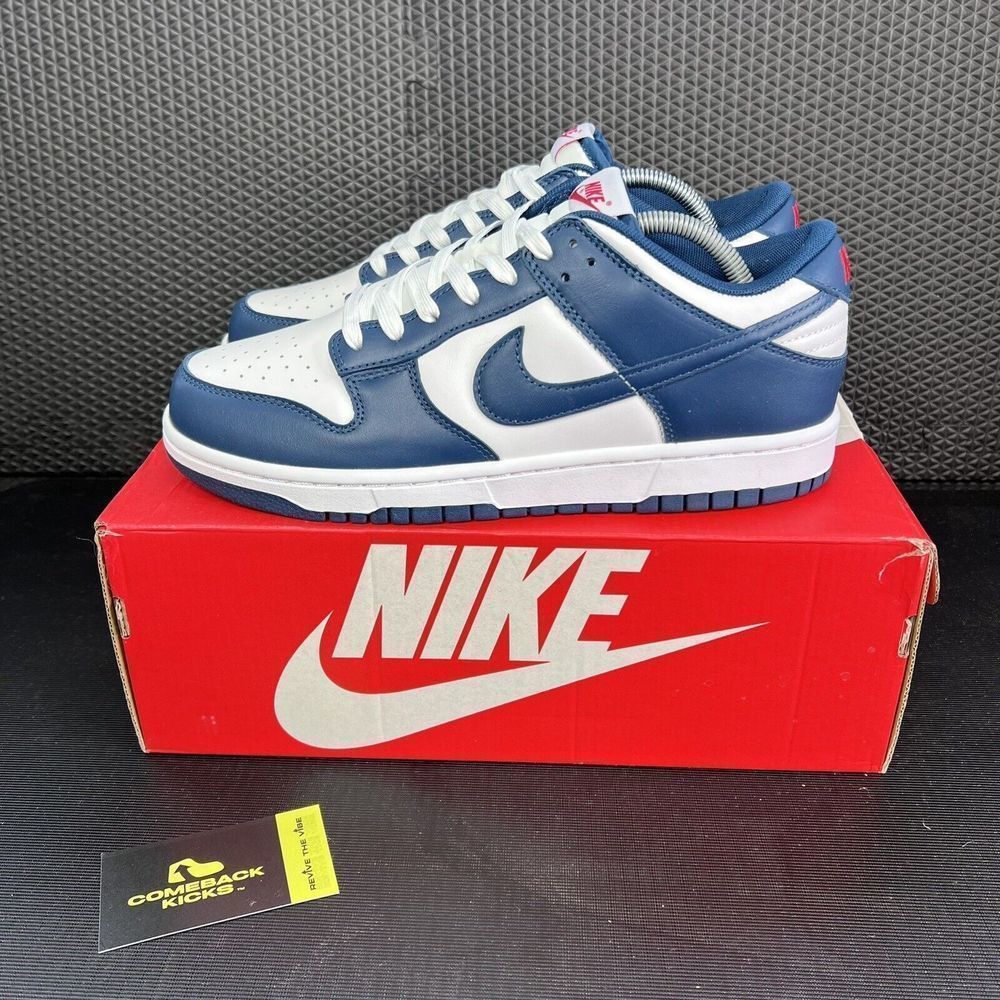Nike Dunk Low Valerian Blue Sneakers - Men’s Size 10.5 - DD1391-400